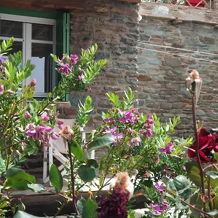 Zenios Andros-cycladic House Overlooking Bay Batsi