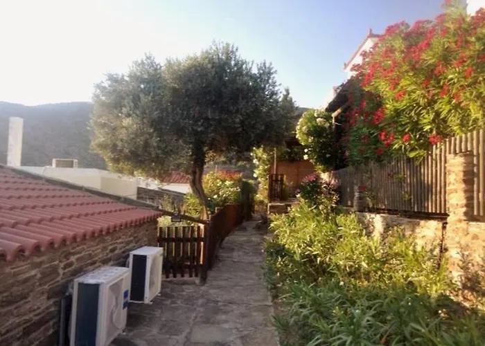 Zenios Andros-cycladic House Overlooking Bay Vakantiehuis Mpatsi