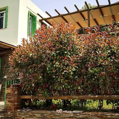 Dom wakacyjny Zenios Andros-cycladic House Overlooking Bay Batsi